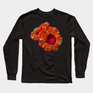 Sunburst Aussie Long Sleeve T-Shirt